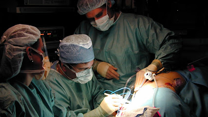 Michael J. Mastrangelo, MD, FACS | Hernia Surgeon | General Surgeon main image